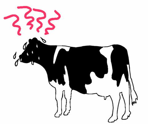 Diagram of cow in Heat Stress