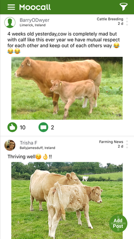 Moocall diary