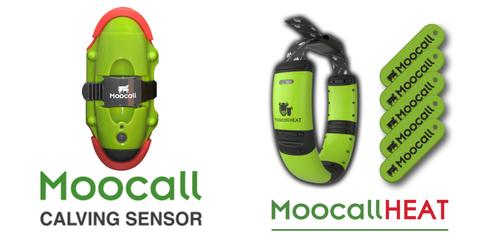 moocall calving sensor moocall heat