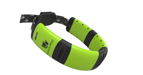 Moocall HEAT collar, used with stock and teaser bulls for estrus detection in cattle